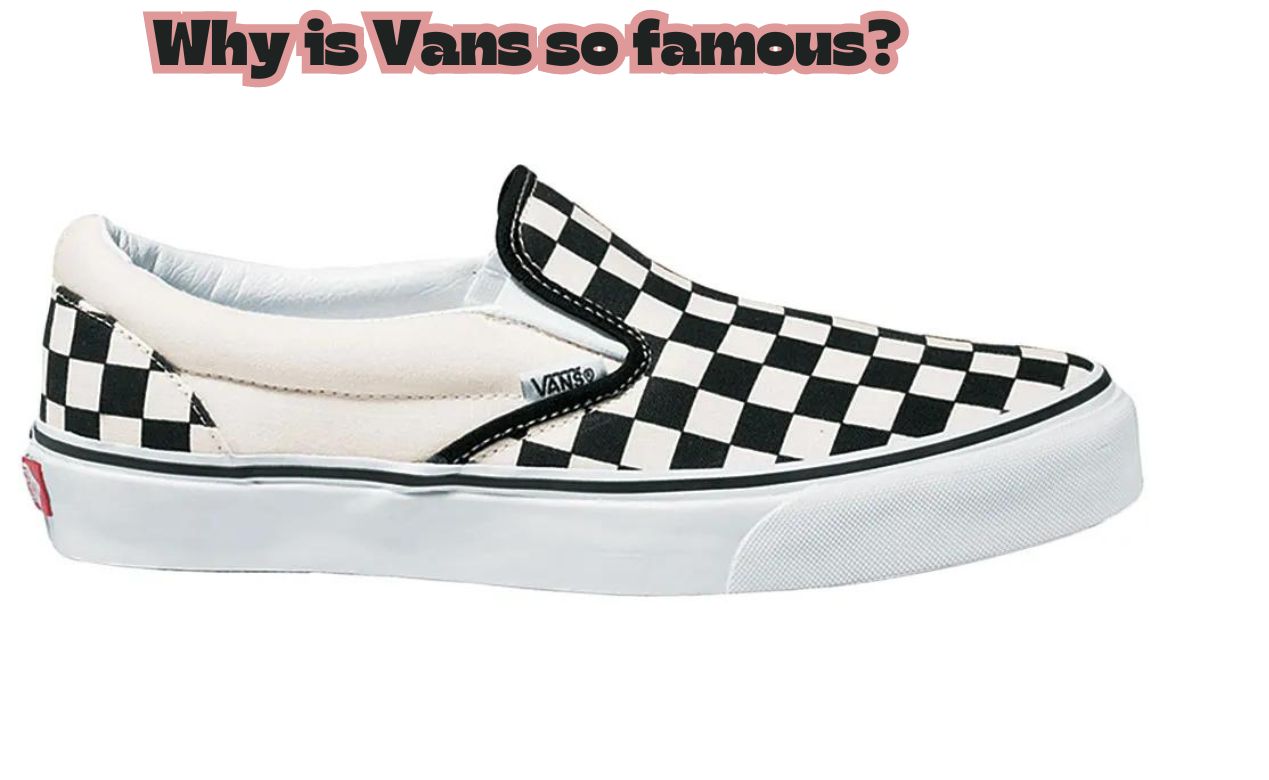 Why is Vans so famous?